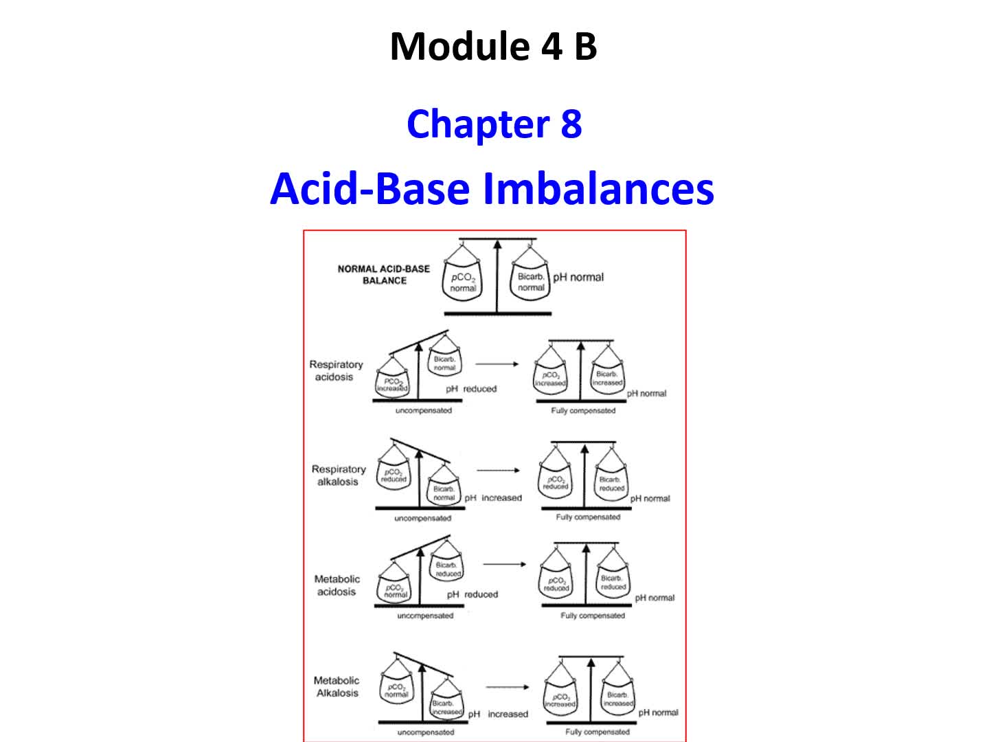 Module 4B-CH8-ABG | Lumina Media Player